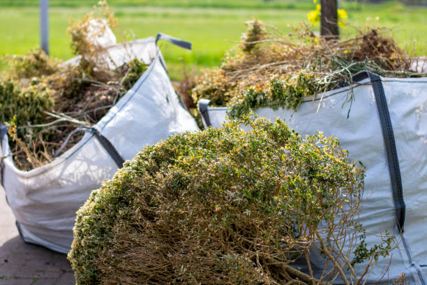 Best Yard Waste Removal  in Lake Dallas, TX